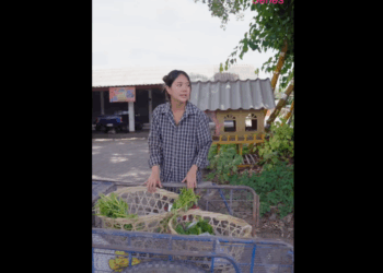 N0810034_เม ยทำงานงกๆ วนผ วเอาช มานอนท าน ทำไมผ หญ งถ งยอมเร องแบบน_part2