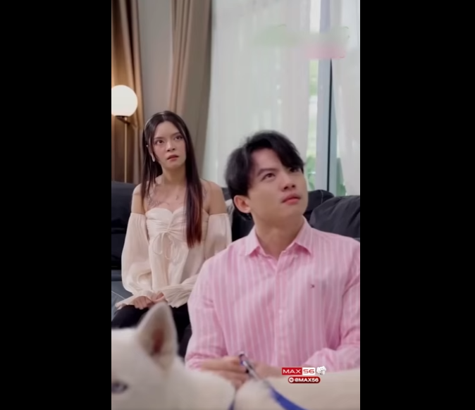 N0502021 สาวไฮโซเอาหมาไปท งให ขอทาน เพราะแฟนสนใจแต หมา ไม สนใจเธอ (2) part2
