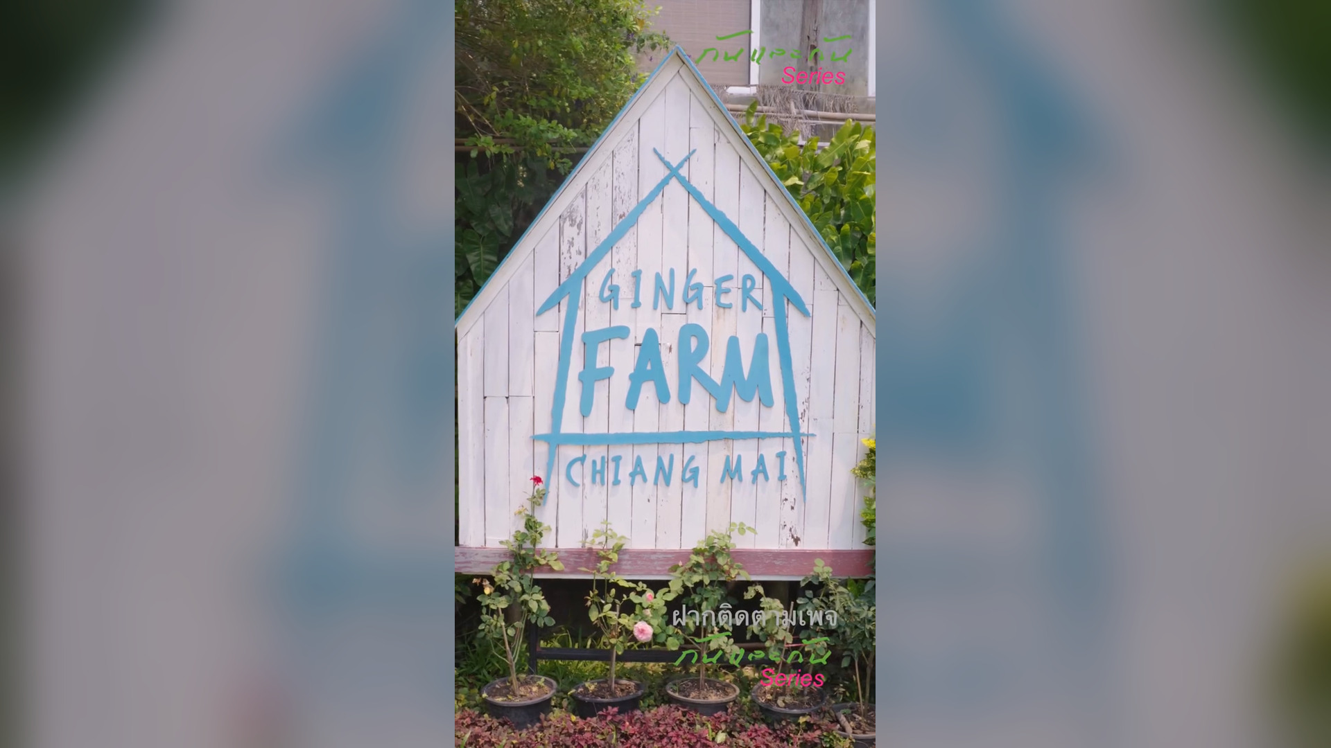 D1204089_สาวไรเดอร วยผ หญ งท กสาม ทำร ายเอาไว แต เธอ_part2